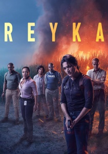 Детектив Рэйка, Сезон 1