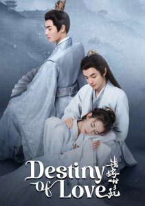 Судьба любви, Сезон 1